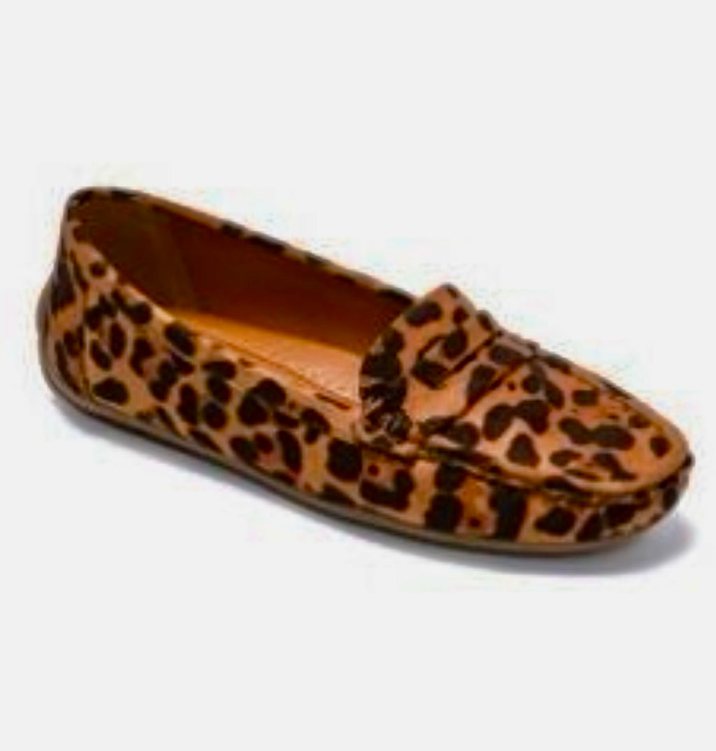 Our Fabulous Loafers