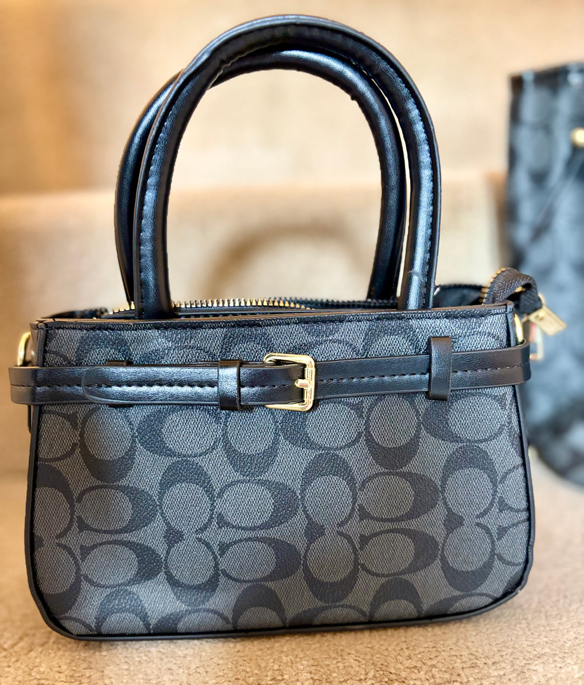 3-in-1 Tote Bag